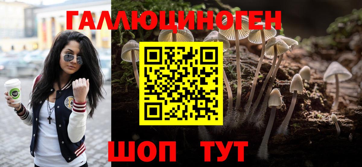Псилоцибиновые грибы Psilocybe Саки